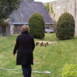 Les quilles du Léon au pied des remparts