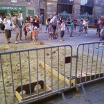 Jeux de boules pour tous